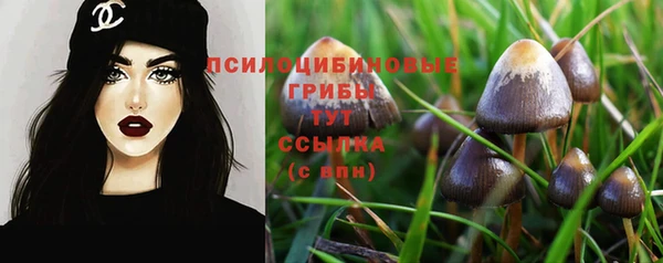 винт Армянск
