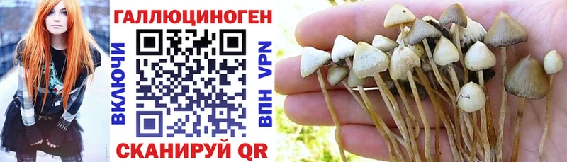 Галлюциногенные грибы GOLDEN TEACHER  Удомля 
